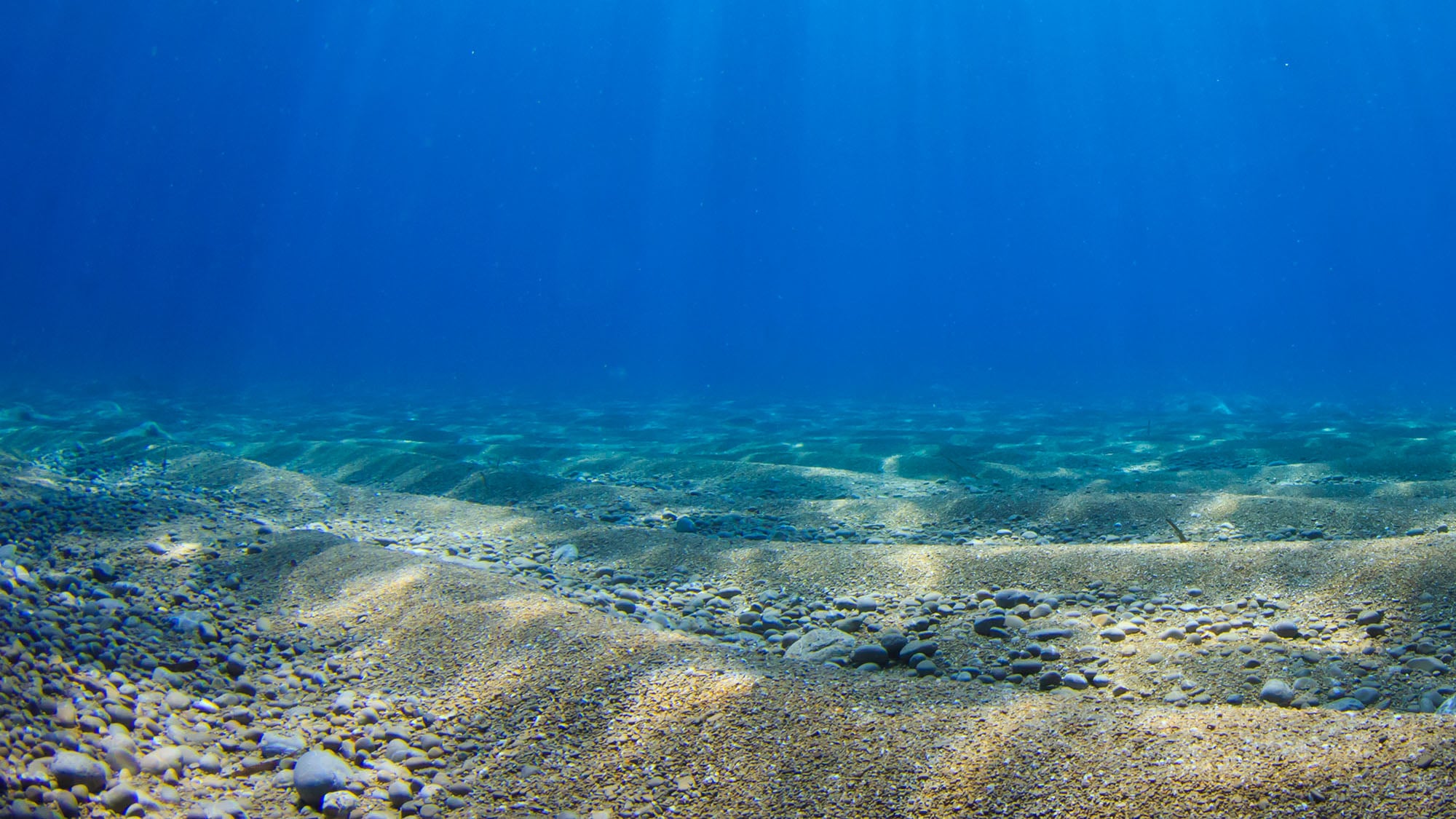 Underwater ocean scene with blue water, sandy seabed and sunbeams shining through water